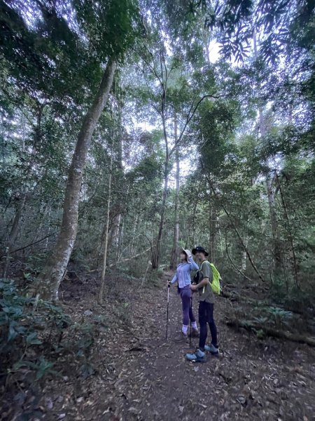 谷關七雄 《 馬崙山 》2025 09/062879763