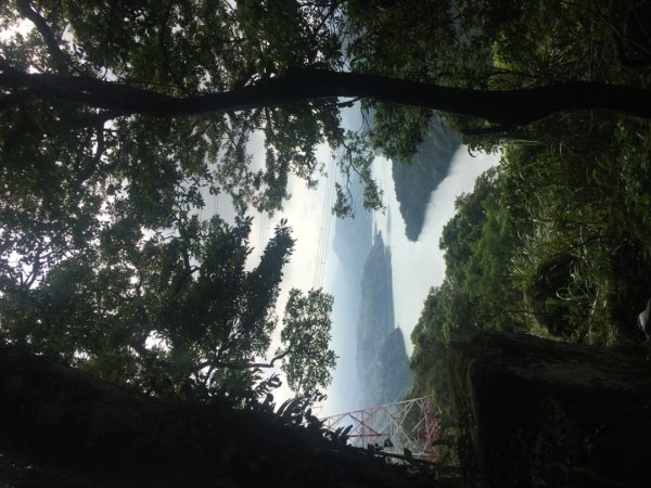 溪洲山封面