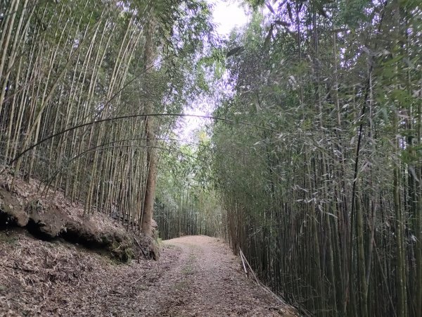 2022-025：南坑山西峰、南坑山Ｏ型連走