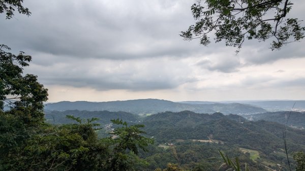 赤柯山 東獅頭山2501620