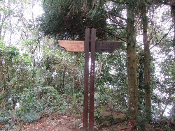 20201205-五指山1197236