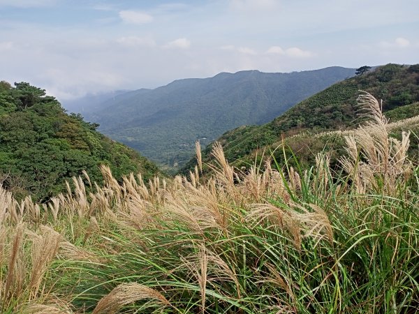 樂活遨遊坪頂古圳步道→荷蘭古道→高頂山→北五指山→頂山→風櫃嘴→天溪園→聖人橋1509480