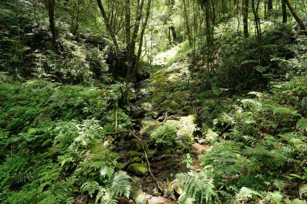 新北 烏來 山車廣山、檜山2567407