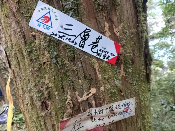 雙溪區北勢溪古道+畚箕湖古道+三層巷古道+北勢溪古道P字走2909459