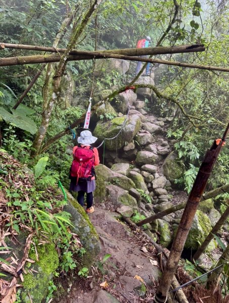 豹牙登山口上鳳凰山/小百岳#533069710