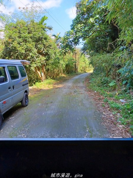 【台東。大武】一路搖晃碰碰車。小百岳集起來。  編號95小百岳-加奈美山步道1640903