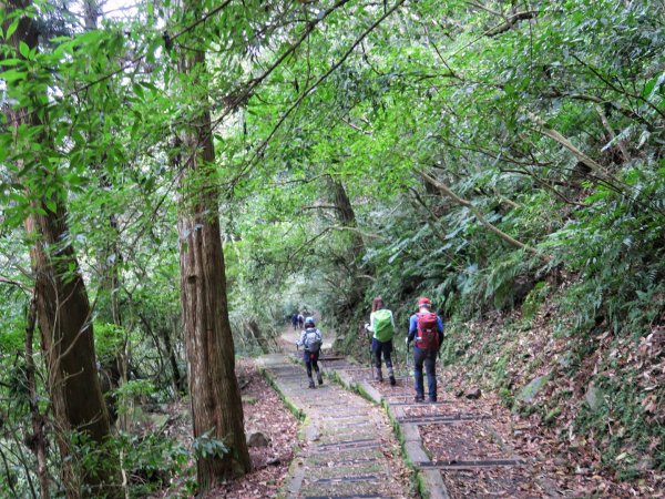 東眼山 拉卡山 卡外山 O形環走1630322