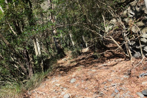 苗栗泰安 | 雪見‧初探北坑溪古道2700072