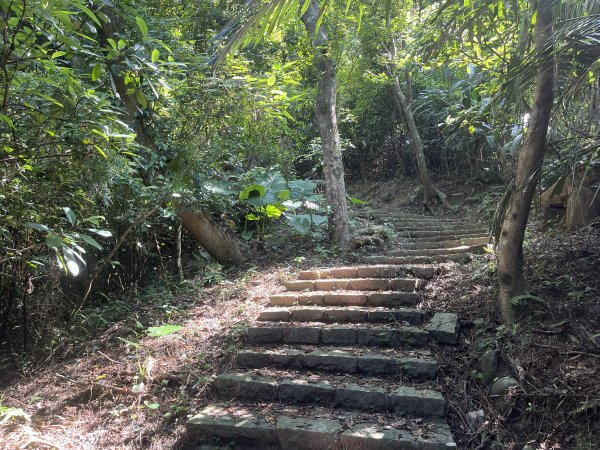 [皮皮獅Hike客任務-09/10] 2024_0831 南埔村觀音步道+挑水壢古道2586328