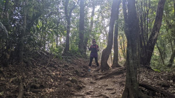 馬那邦山步道(珠湖登山口上)1585905