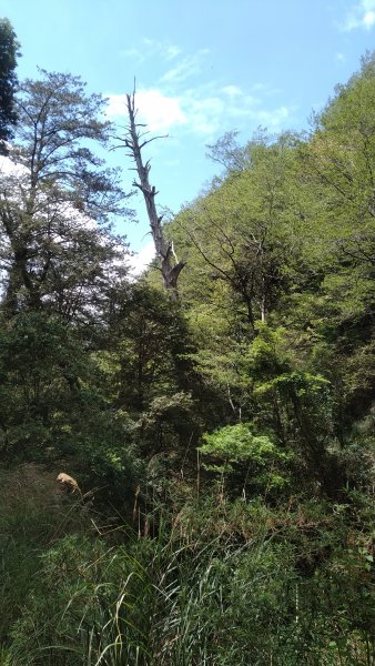 2021.4.9-10大霸群峰之大霸尖山1349333