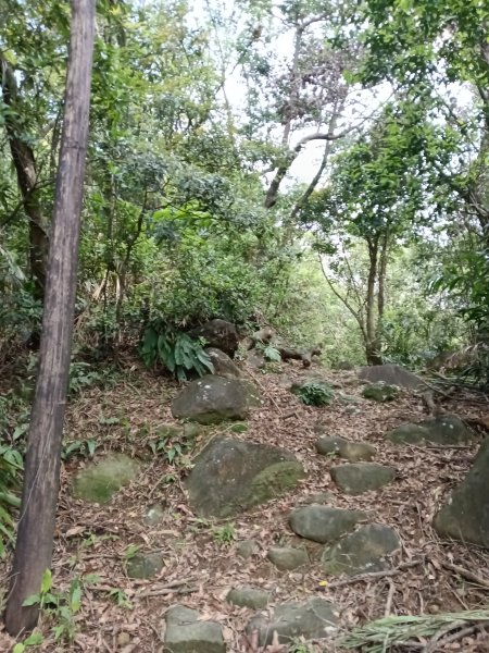 雙溪區三叉港+遠景古道+楊廷理古道+雞母嶺街O型2758665