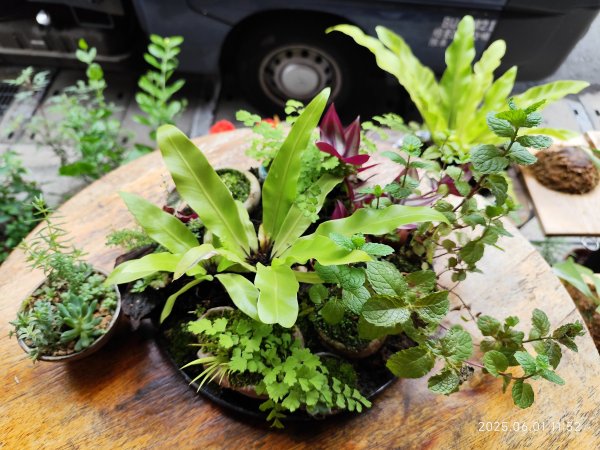 基隆輪胎步道、大武崙山、外木山國旗嶺步道、中山峽谷步道、外木山濱海大道、海龜岩2808285