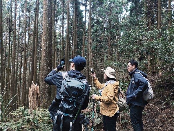 鵝公髻山X山上人家2729197