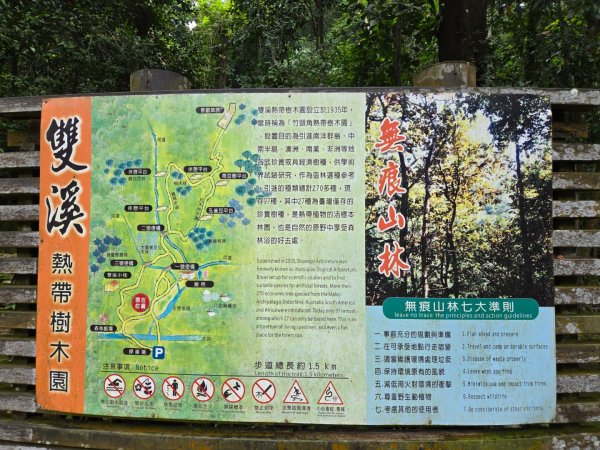 美濃雙溪樹木園（九芎林山）2652546