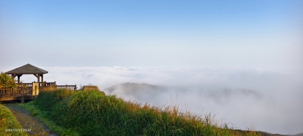 #大屯山 #雲海 3/223019594