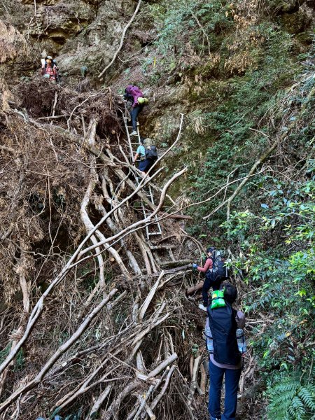 2025.11.30 西巒大山