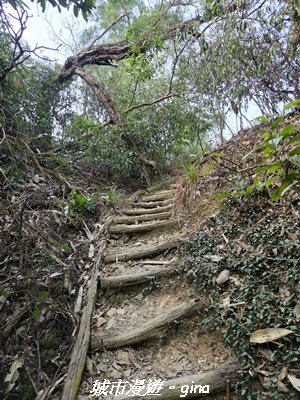 【屏東來義】小百岳棚集山x棚集下山O 繞3013078