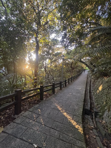 2025.10.10_碧湖步道2910162