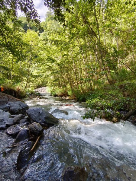 兩颱風之間空擋登屏風山巧遇保育類動物+出大景2237821