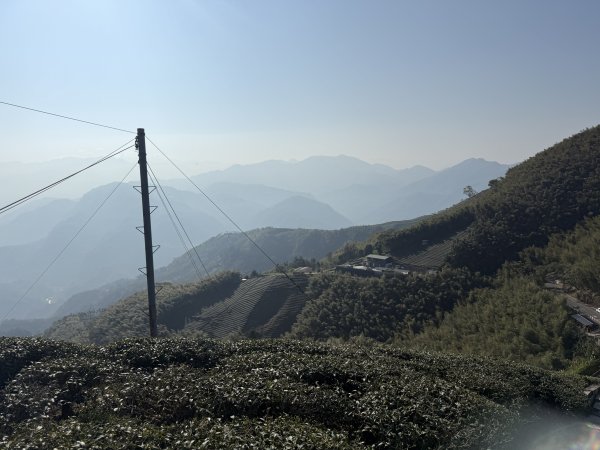 69雲嘉8連峰3084269