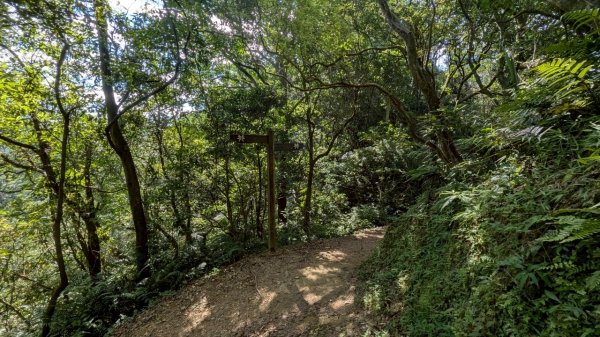 114.06.28內平林山-番子坑山-平湖森林遊樂區之O型2824261