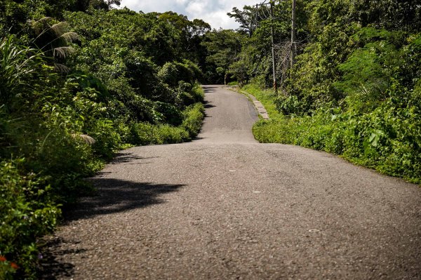 大崗山步道｜小百岳2812773