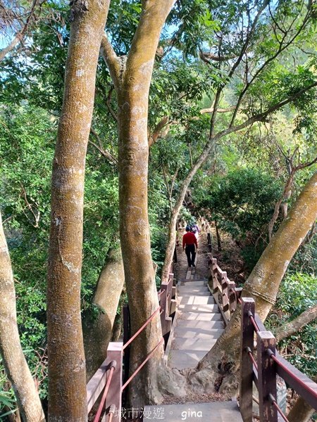 【台中潭子】蜿蜒步道賞風景。 No40小百岳~聚興山、新田登山步道2425978