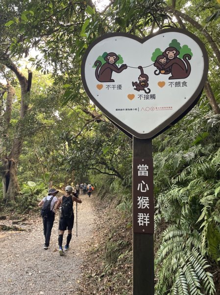 陽明山六瀑連走2877710