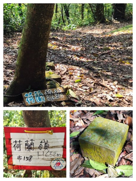 坪頂古圳-荷蘭古道-高頂北五指杏林山-石梯嶺擎天崗3026389