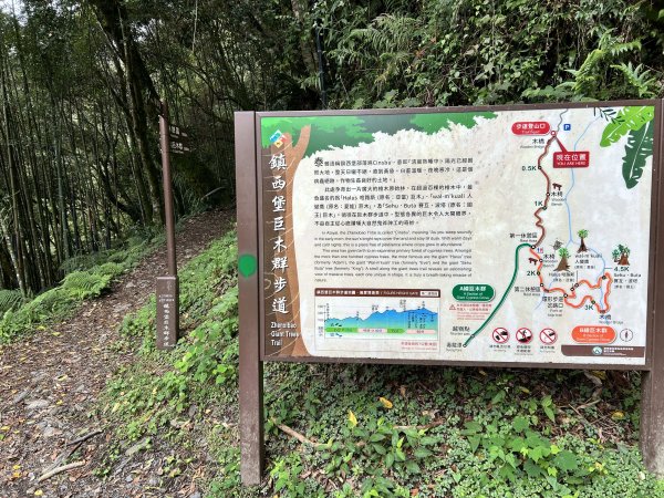 鎮西堡3131993