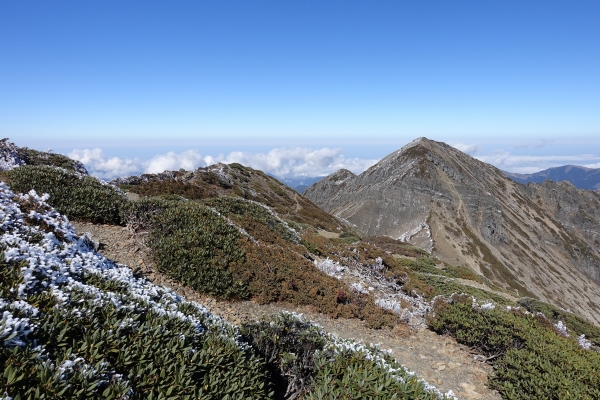 1051216~19雪山主東北下翠池80555