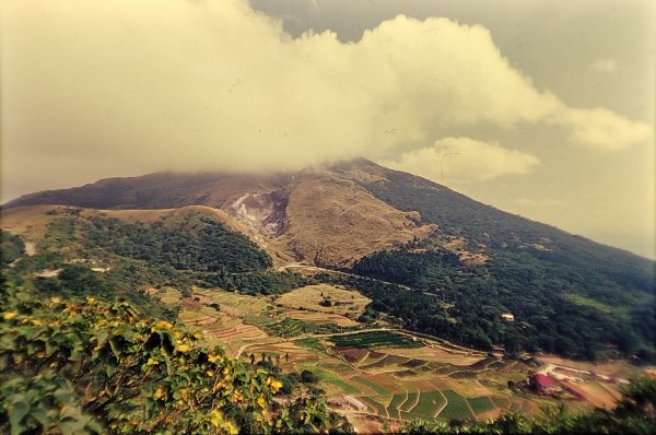 大屯山／二子山1966195
