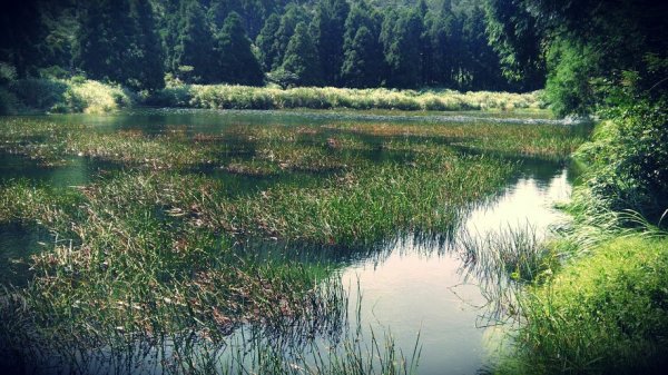 2019 8/10 夢幻湖875761