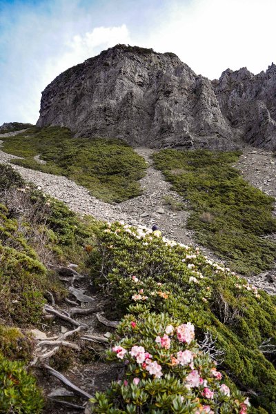 雪山北峰單攻2602901