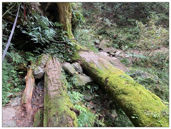 赫威山、多崖山、北插天山 連走2957285