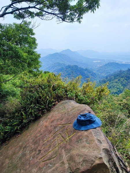 金面山/白石山-小百岳#21-桃園市大溪區2247873