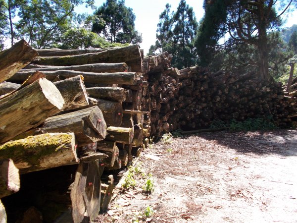 治茆山,治茆山南峰,巒山堂691176