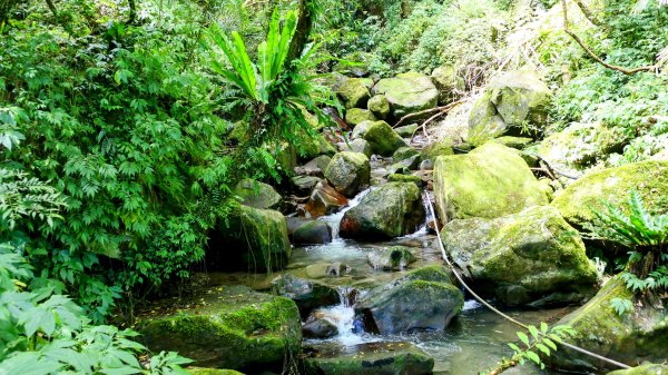 雙溪下坑古道2859466