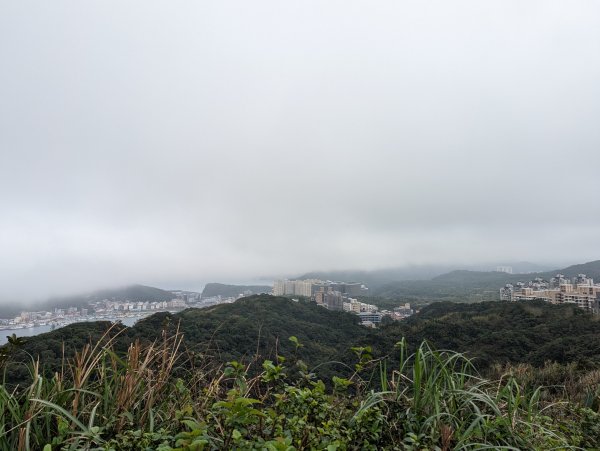 2023-02-11 槓子寮砲台、槓子寮山步道（龍崗步道）2792637