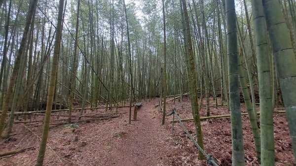 水社大山水社主峰新年二部曲1598808