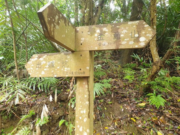 人生之中有點可怕的登山行程......玉女山、金童山及汶水山1552816