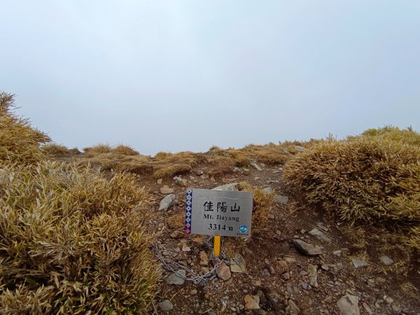 百岳C級路線之佳陽山2090949