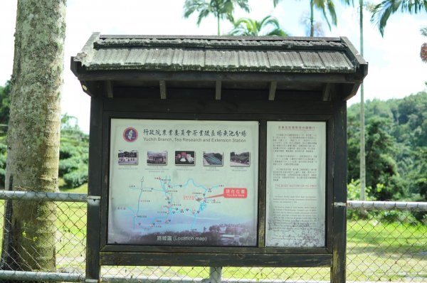 貓囒山真的有貓597058