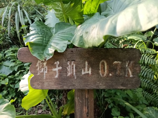 五堵獅頭山無菸步道2969477