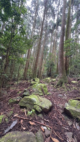 加里山東南峰2845050