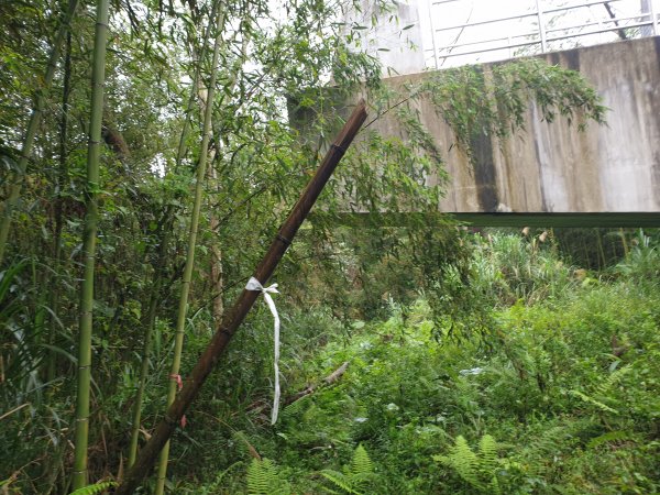 人生之中有點可怕的登山行程......玉女山、金童山及汶水山1552809