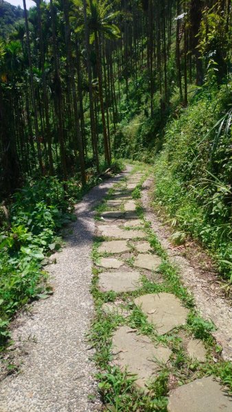 梅峰古道、竹子尖山、觀音步道繞一圈1721198