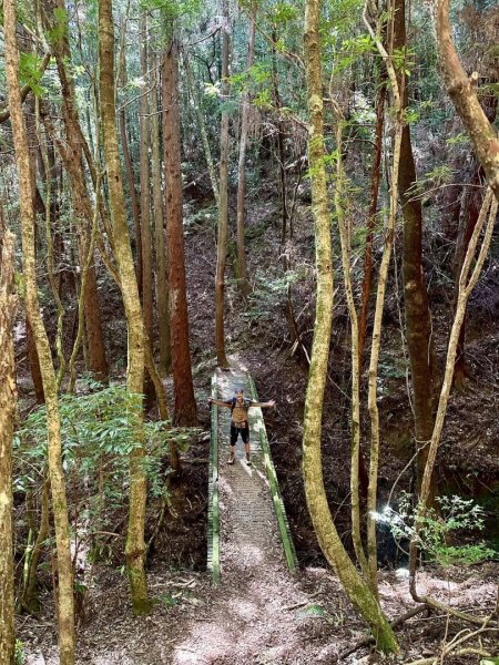 20251014雪見遊憩區 🚴‍♂️咖搭車走司馬限林道上東洗水山兩刷北坑山至大板根2916405