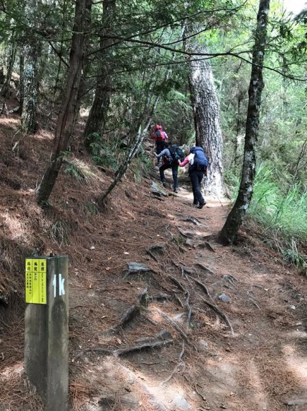 武陵四秀成兩袖(一秀加一宿)1142473